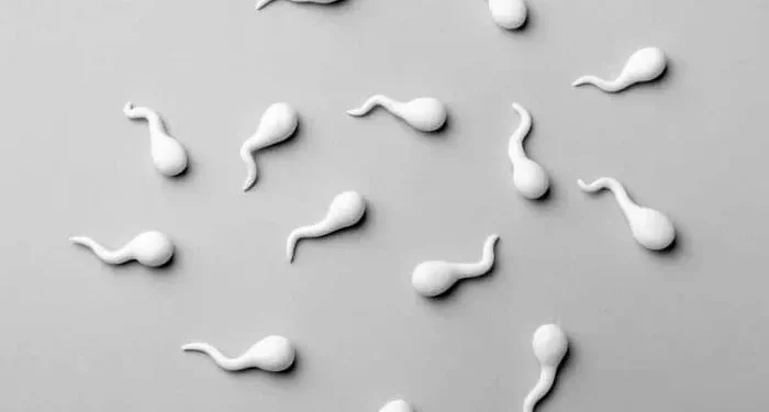The Azoospermia Treatment: A Comprehensive Guide
