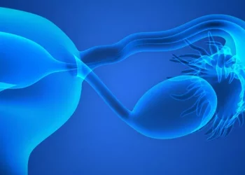 The Power of CoQ10 for Fertility: A Complete Overview