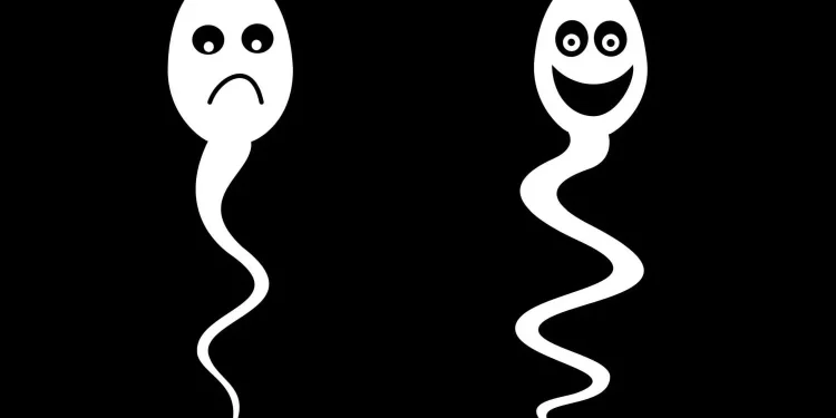 What is Azoospermia: A Comprehensive Guide