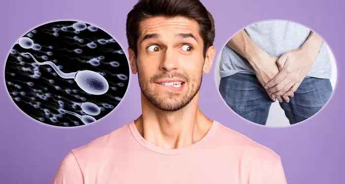 Testicular Injury and Its Impact on Male Fertility