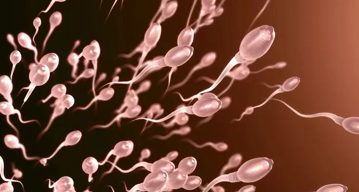 Non-Obstructive Azoospermia: Treatment Options