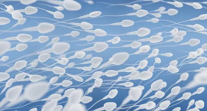 Natural Remedies for Azoospermia: Things You Need To Know