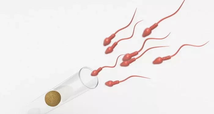 Male Infertility: A Comprehensive Guide to Azoospermia