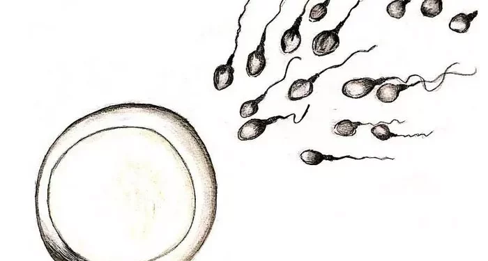 A How-To Guide: Can Non-Obstructive Azoospermia Be Cured?