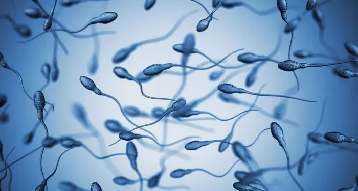 An Overview of Azoospermia: Causes, Diagnosis, and Treatments