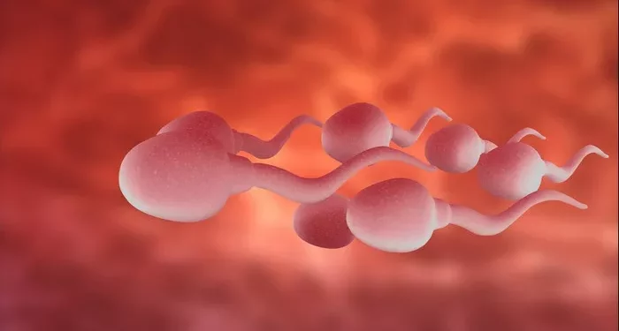 Severe Teratozoospermia Treatment: A Guide for Conception