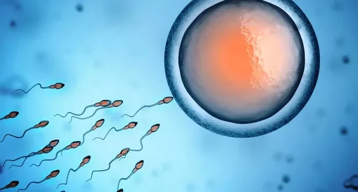 Teratozoospermia Treatment: Options and Considerations