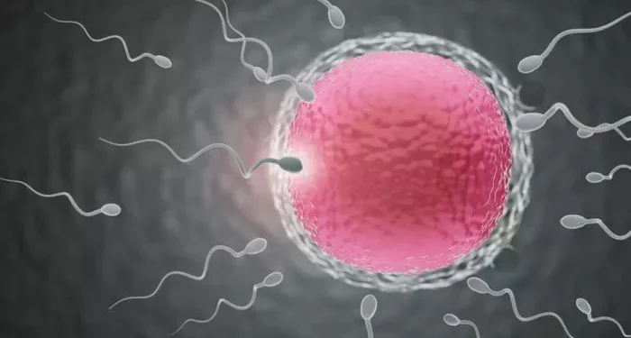 7 Causes of Azoospermia: Everything You Need To Know