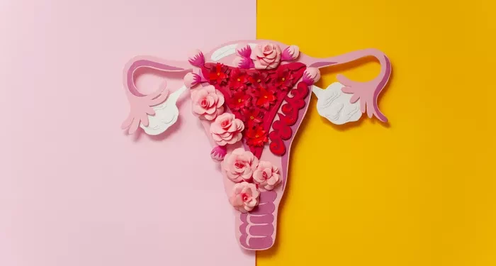 UTIs and Female Infertility: An Easy-to-Follow Guide