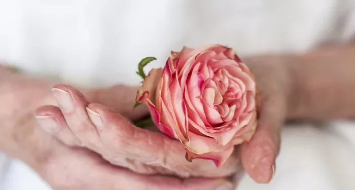 When Is the Right Time to Conceive After the Period?
