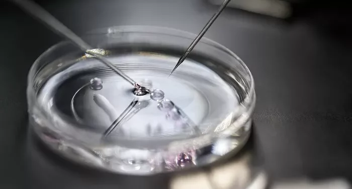 Vani IVF Center: A Look at a Leading Fertility Clinic