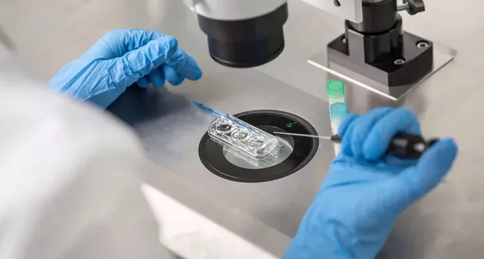 New, Gentler Form of IVF Shows Promise in Improving Success Rates