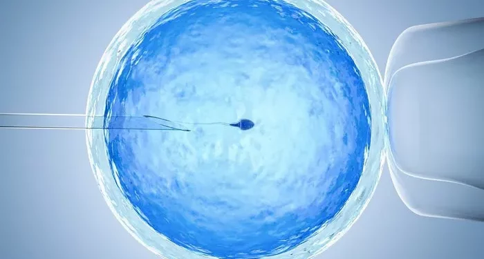 How Common is Ectopic Pregnancy with IVF?