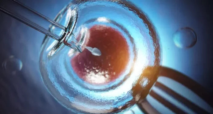 The IVF Costs in the USA: A Comprehensive Guide