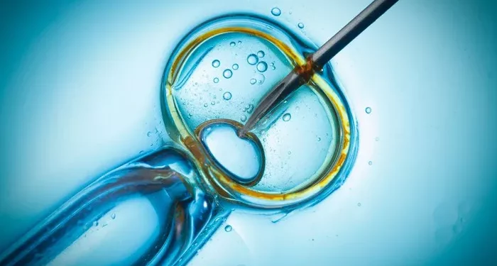 IVF Transfer Success Rates: You Need to Know Your Chances