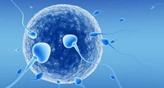 IVF Success Rates for Women with PCOS: What You Need to Know