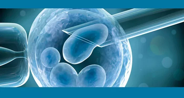 What Are the Ivf Medications: Everything You Need To Know