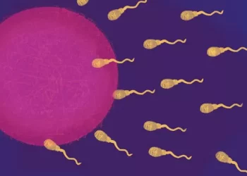 Spermatogenic Failure: A Guide to Male Infertility