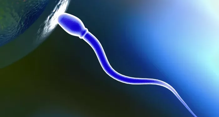 can cryptozoospermia be cured