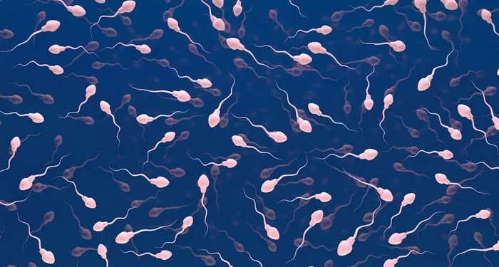 Azoospermia and Hormone Treatment: A Path to Fertility for Male