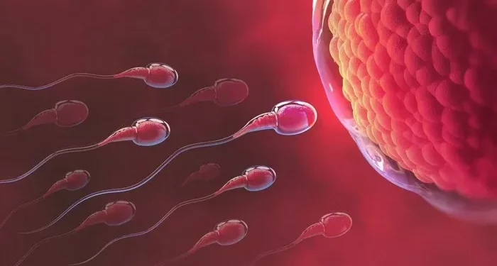 Azoospermia and Hormone Treatment: A Path to Fertility for Male