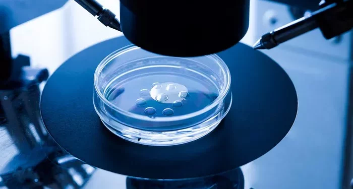 Success of IVF in First Attempt: Tips & Methods