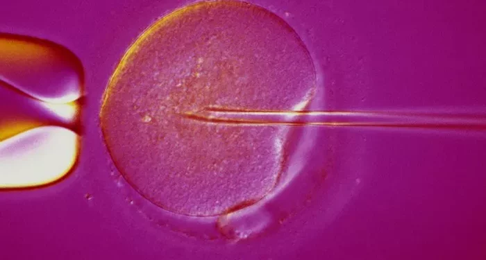 In Vitro Fertilization (IVF) Cost: A Detailed Breakdown