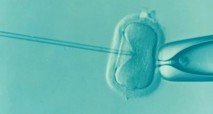 In Vitro Fertilization (IVF) Cost: A Breakdown