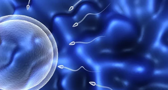 Male Sperm Test (Semen Analysis): A Complete Overview