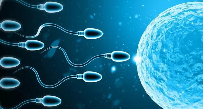 Female Blood Analysis for Pregnancy: A Full Guide